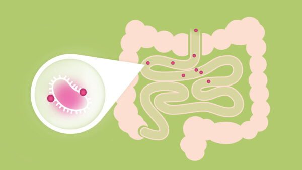 Kako djeluje Defendyl-Imuno&glukan Faza 2