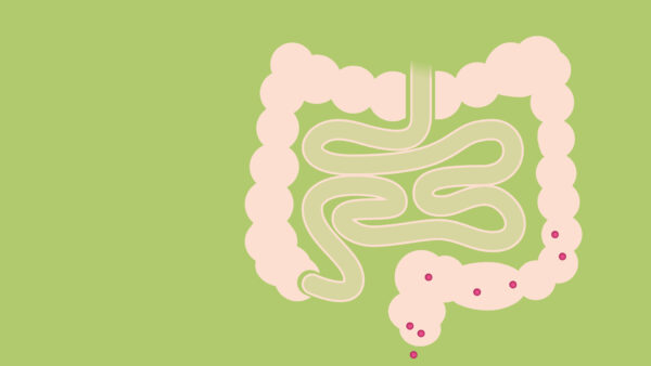 Kako djeluje Defendyl-Imuno&glukan Faza 4